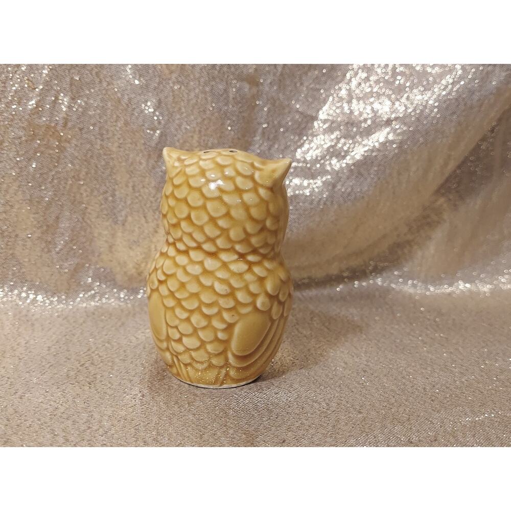 (1) Vintage Salt Shaker Florida Souvenir Ceramic Owl Replacement Piece - Picture 3 of 7